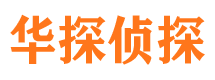 迭部侦探公司